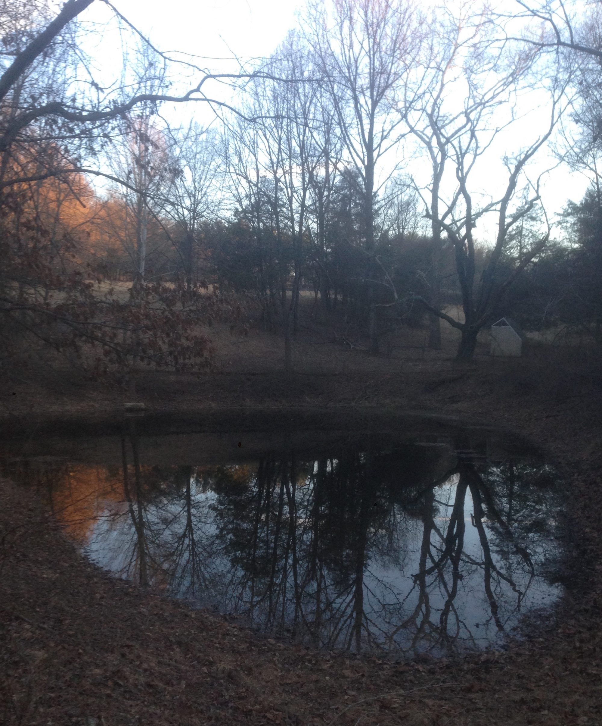 Salamander Pond Farm